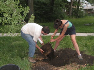 Volunteers plant a tree